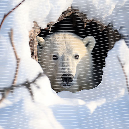 20oz integrate-EJ-9436